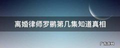离婚律师最后一集 离婚律师罗鹂第几集知道真相