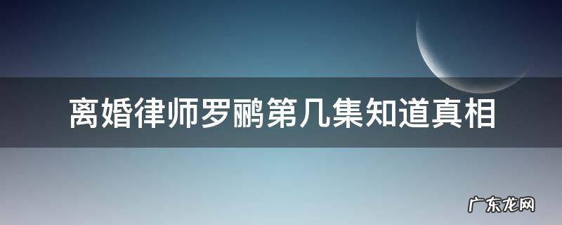离婚律师最后一集 离婚律师罗鹂第几集知道真相