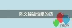 陈文锦他们是被谁喂了丹药 陈文锦被谁喂的药
