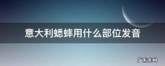 如果旁边稍有动静意大利蟋蟀会用哪里发音 意大利蟋蟀用什么部位发音