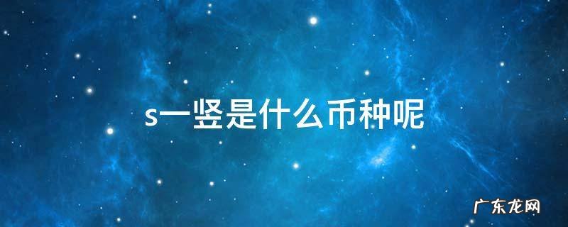 s一竖是什么币种呢 一个s上下各一个短竖是哪国货币