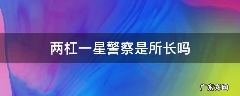 两杠一星警察是所长吗 警察局两杠一星