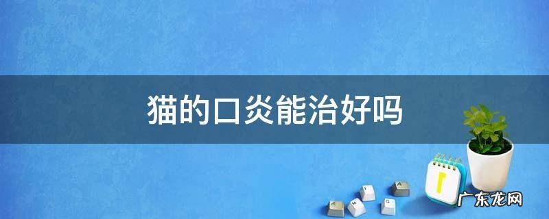猫咪口炎治不好吗 猫的口炎能治好吗
