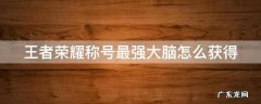 王者荣耀里面最强大脑称号 王者荣耀称号最强大脑怎么获得
