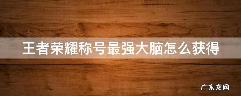 王者荣耀里面最强大脑称号 王者荣耀称号最强大脑怎么获得