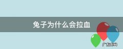 兔子为什么会拉血 兔子拉血是为什么
