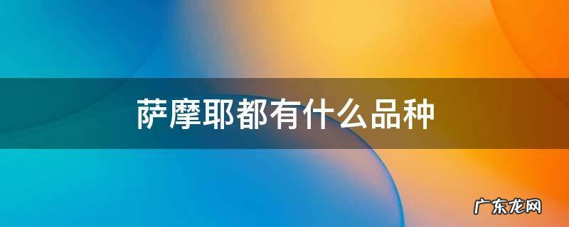 萨摩耶都有什么品种 萨摩耶有几种品种
