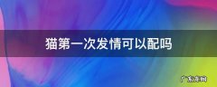 猫第一次发情可以配吗