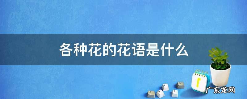 各种花的花语是什么意思 各种花的寓意及代表含义 各种花的花语是什么