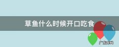 草鱼什么时候开口吃食 草鱼什么时候开始进食