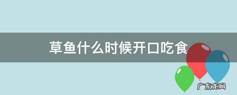 草鱼什么时候开口吃食 草鱼什么时候开始进食