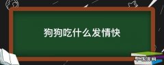 狗狗会吃什么 狗狗吃什么发情快