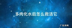 多肉化水后怎么救活他 多肉化水后怎么救活它
