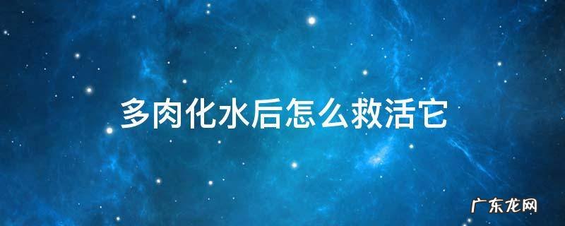 多肉化水后怎么救活他 多肉化水后怎么救活它