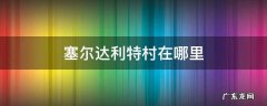塞尔达利特村在哪里 塞尔达传说利特村在哪里