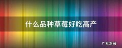 什么品种草莓好吃高产 草莓那个品种好吃又高产