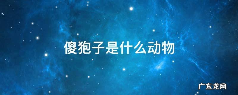 傻狍子是什么动物 东北傻狍子是什么动物