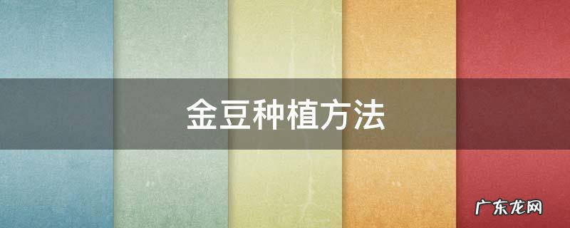 金豆种植方法和时间 金豆种植方法
