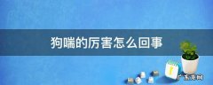 狗狗喘的快正常吗 狗喘的厉害怎么回事