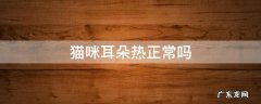 猫咪耳朵有点热正常吗 猫咪耳朵热正常吗