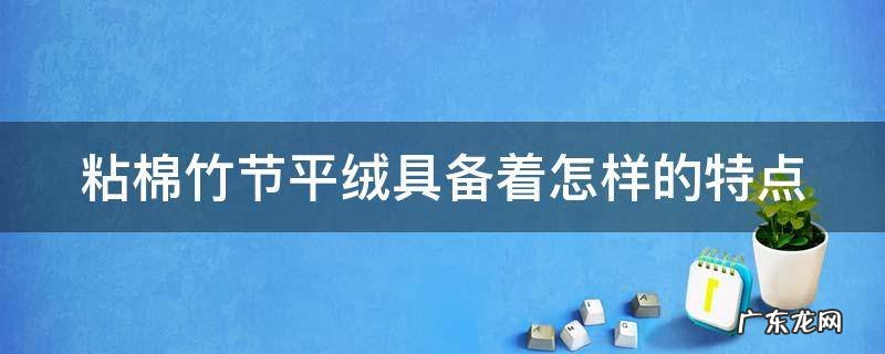 粘棉竹节平绒具备着怎样的特点呢 粘棉竹节平绒具备着怎样的特点