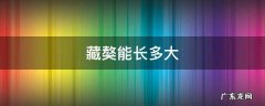 藏獒能长多大 藏獒能长多大多重