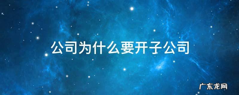 怎么开子公司 公司为什么要开子公司