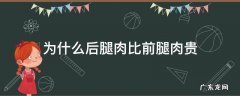 为啥前腿肉便宜 为什么后腿肉比前腿肉贵