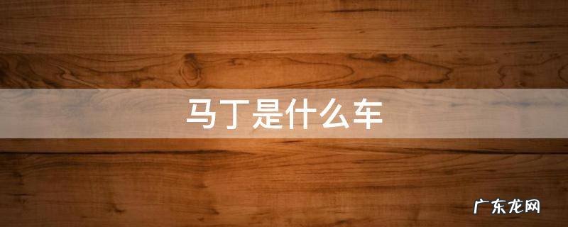 吃鸡马丁是什么车 马丁是什么车