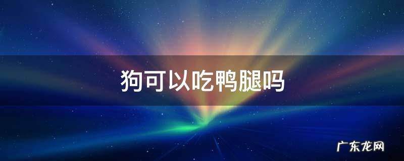 狗狗可不可以吃鸭腿 狗可以吃鸭腿吗