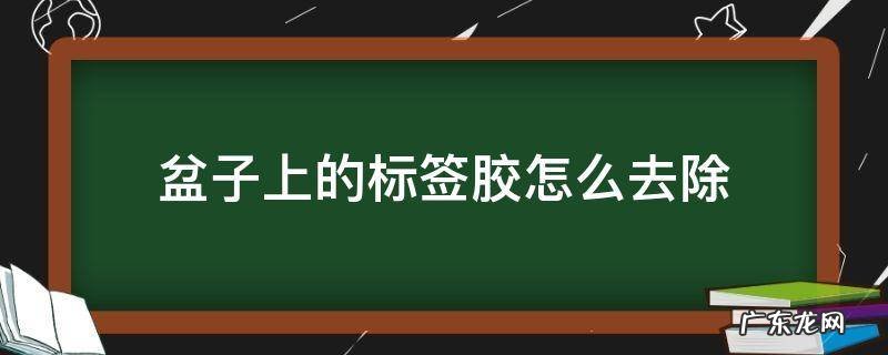盆子上的标签胶怎么去除 盆上标签上的粘胶怎么去除掉