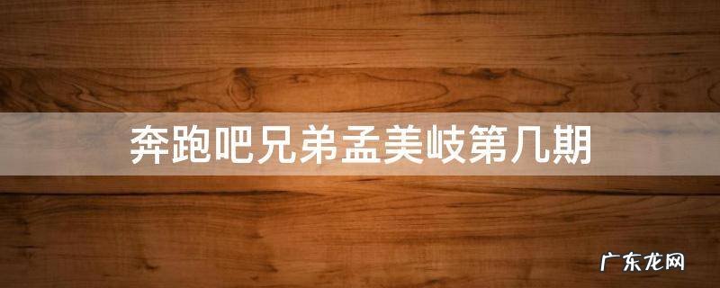 奔跑吧兄弟第四季孟美岐 奔跑吧兄弟孟美岐第几期