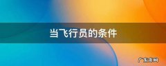 当飞行员的条件 当飞行员的条件是什么?
