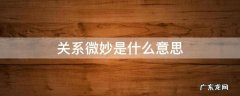 什么叫关系微妙 关系微妙是什么意思