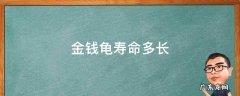 金钱龟平均寿命 金钱龟寿命多长