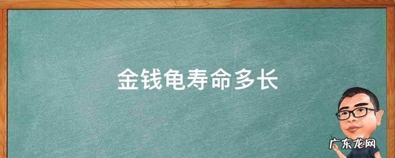 金钱龟平均寿命 金钱龟寿命多长