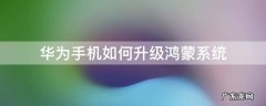 旧的华为手机如何升级鸿蒙系统 华为手机如何升级鸿蒙系统