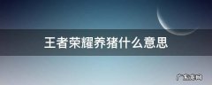 王者荣耀养猪什么意思 王者荣耀里面介意养猪吗是什么意思