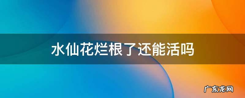 水仙花烂根了还能活吗 水仙花烂根了还有救吗