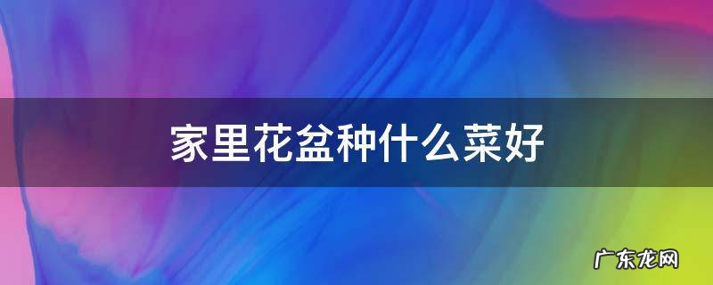 家里花盆种什么菜好 什么菜在花盆里最好种