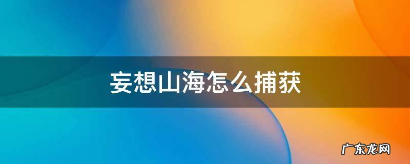 妄想山海怎么捕获宠物 妄想山海怎么捕获