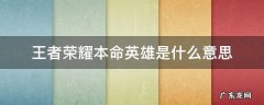 王者荣耀本命英雄是什么意思 王者里的本命英雄什么意思