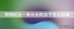 狗狗吐出一条长长的虫子怎么办 狗狗吐出一条长长的虫子怎么回事