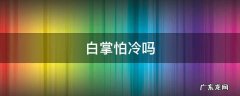 白掌怕不怕冷 白掌怕冷吗