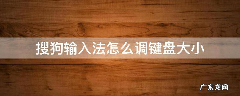 搜狗输入法怎么调键盘大小没有键盘调节 搜狗输入法怎么调键盘大小