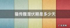 猫传腹潜伏期的时候能检查出来吗 猫传腹潜伏期是多少天