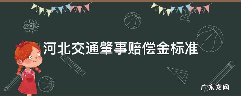 河北2018年交通事故赔偿标准 河北交通肇事赔偿金标准
