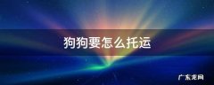 怎样托运狗狗 狗狗要怎么托运