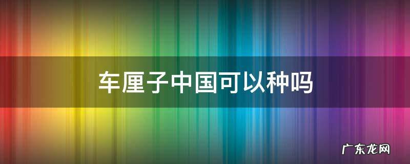 车厘子中国可以种吗 车厘子中国可以种吗?