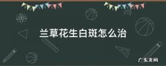 兰草花生白斑怎么治 花草生白斑是怎么治疗